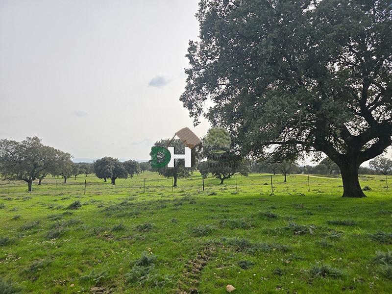 Venta de terreno en Cáceres