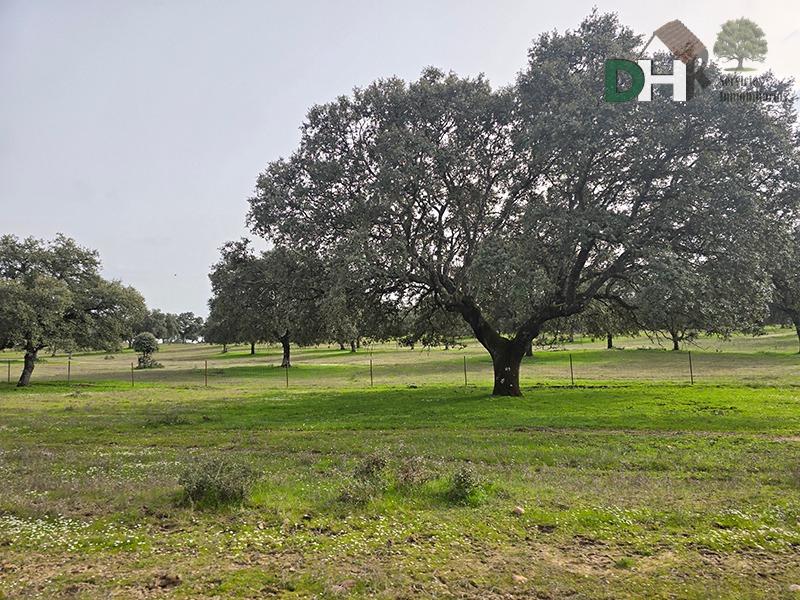 Venta de terreno en Cáceres