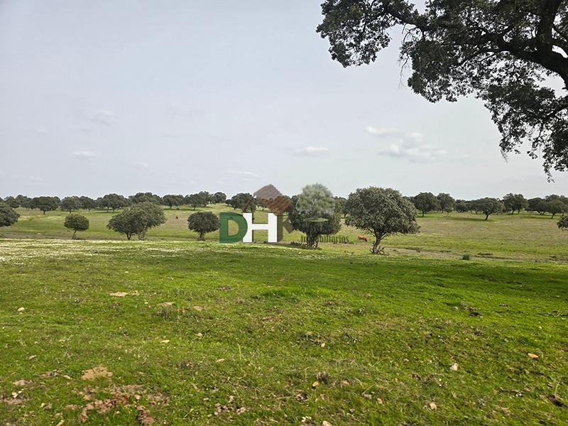 Venta de terreno en Cáceres