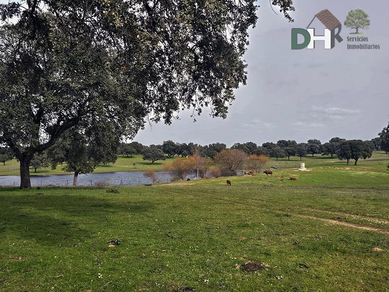 Venta de terreno en Cáceres
