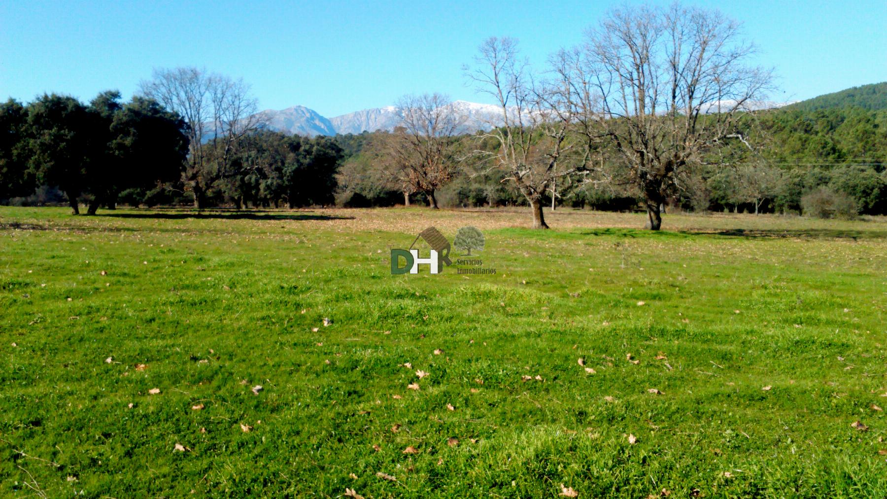 Venta de terreno en Ávila