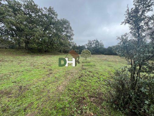 Venta de terreno en Ávila