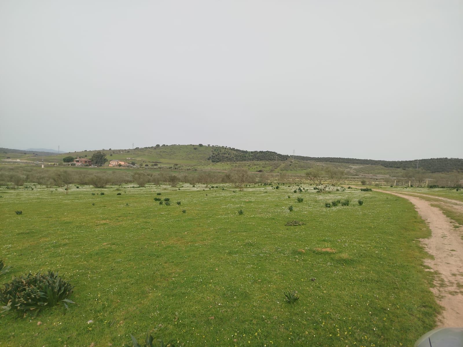 Venta de terreno en Cáceres