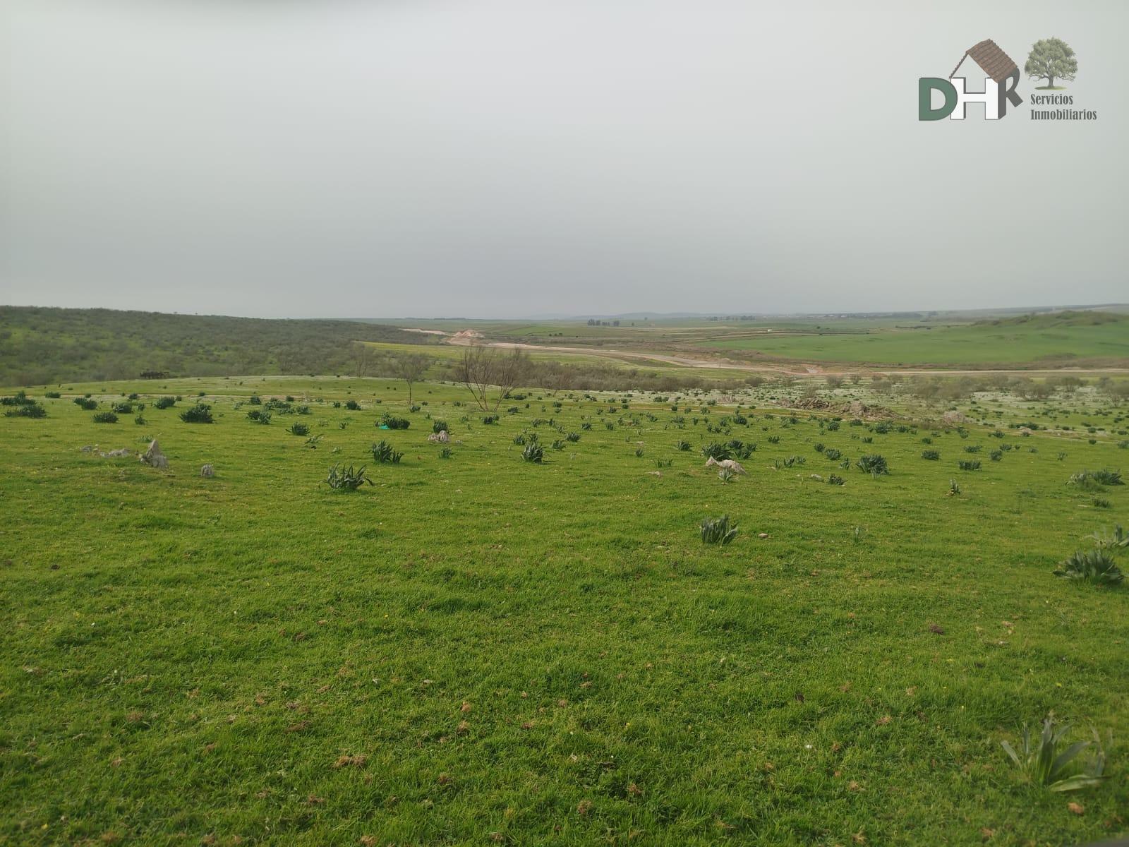 Venta de terreno en Cáceres