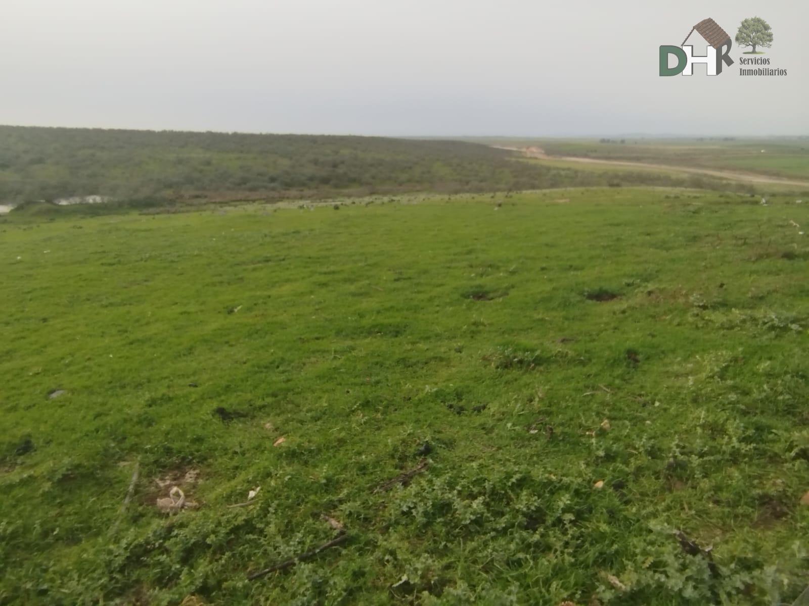 Venta de terreno en Cáceres
