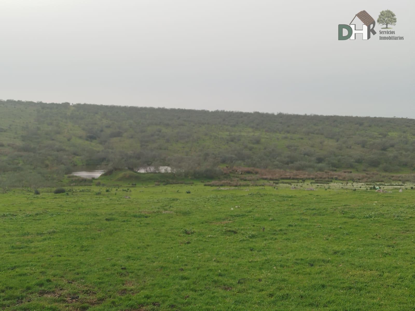 Venta de terreno en Cáceres