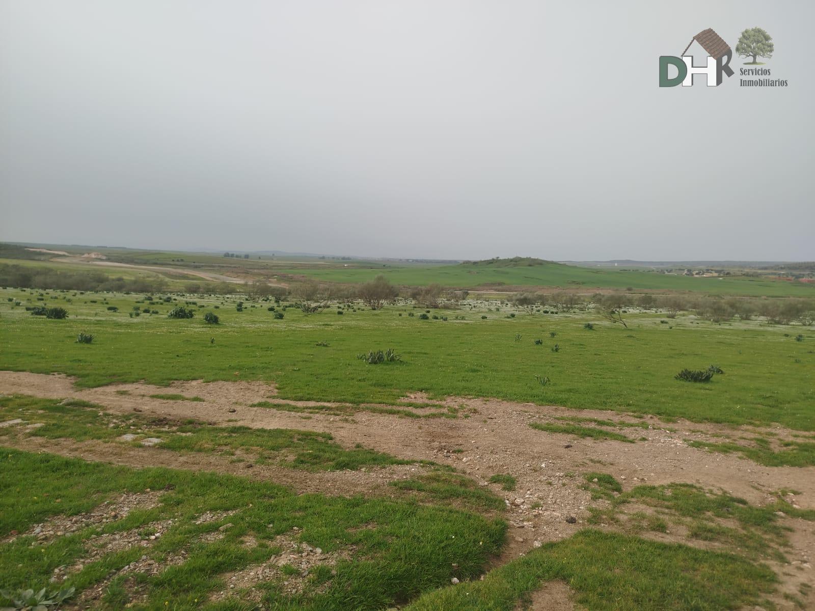 Venta de terreno en Cáceres