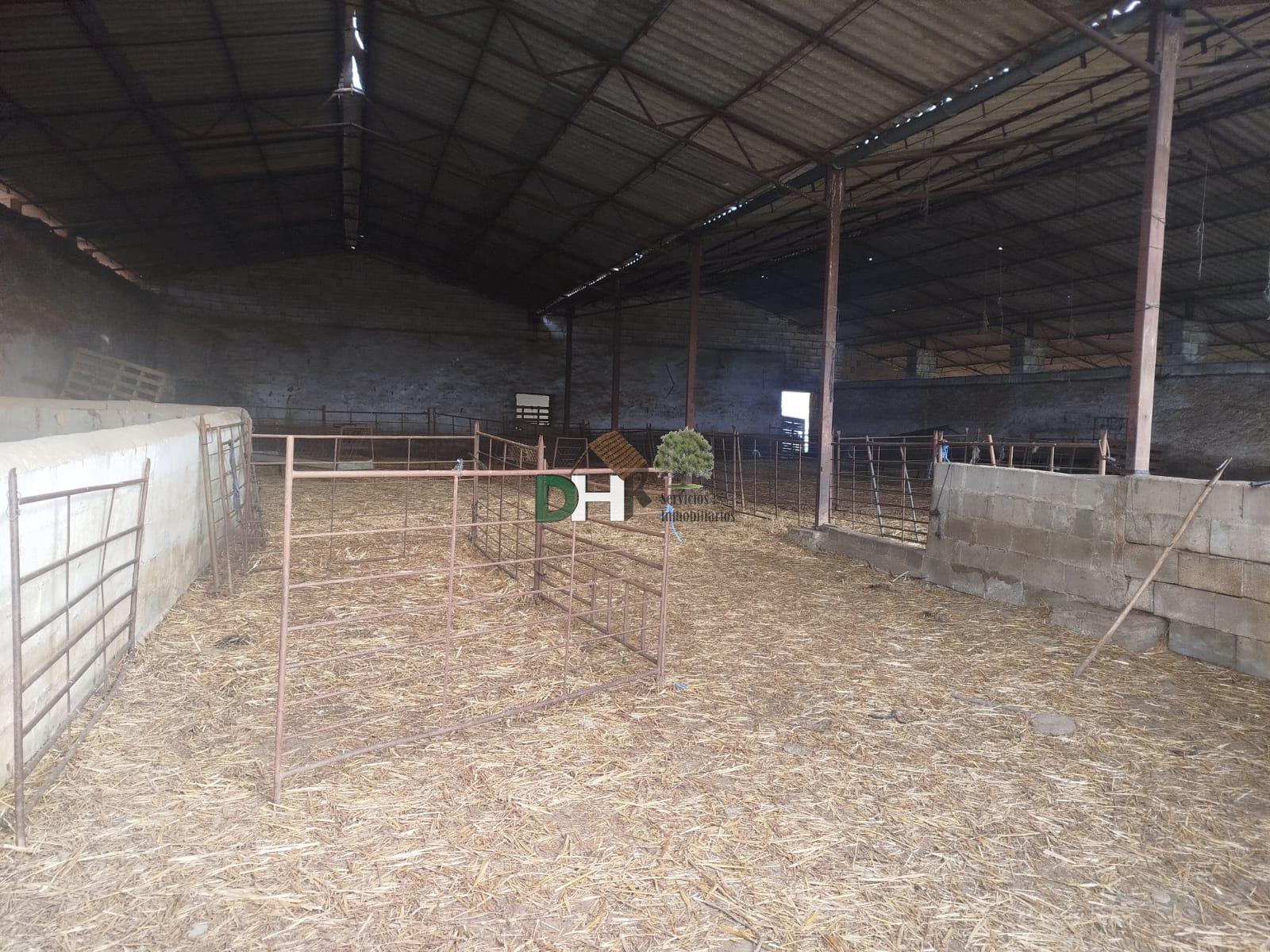 Venta de terreno en Cáceres