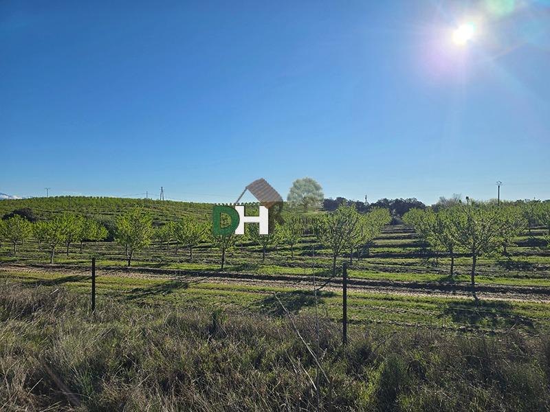 Venta de terreno en Cáceres