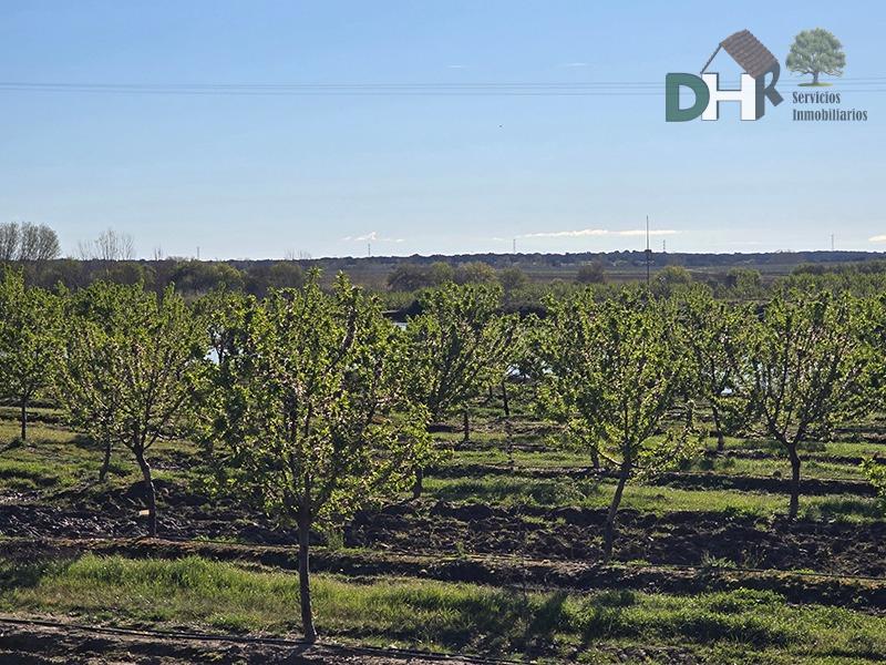 Venta de terreno en Cáceres