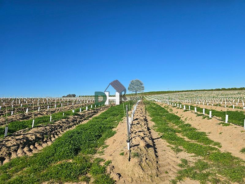 Venta de terreno en Cáceres