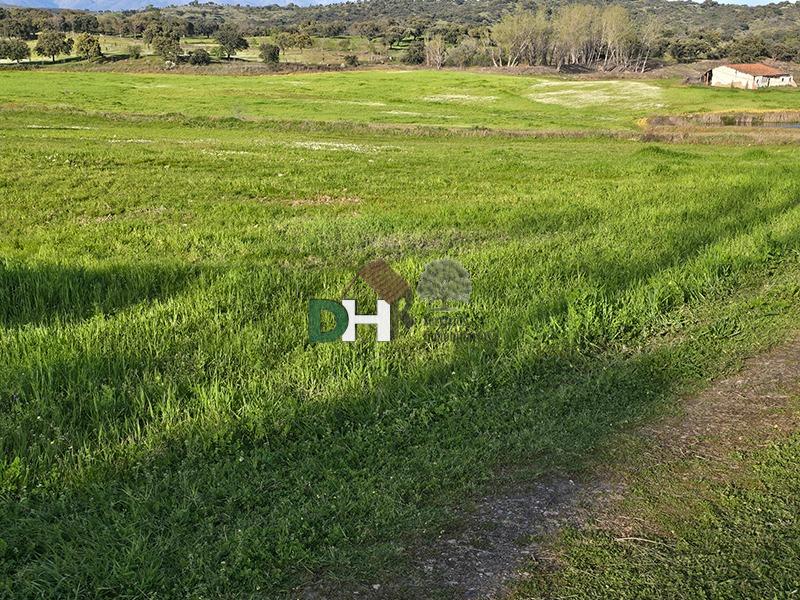Venta de terreno en Cáceres