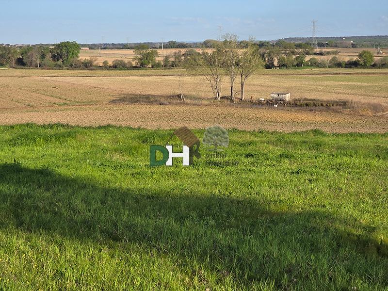 Venta de terreno en Cáceres