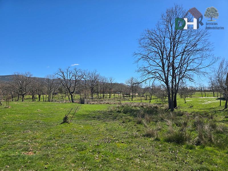 Venta de terreno en Cáceres