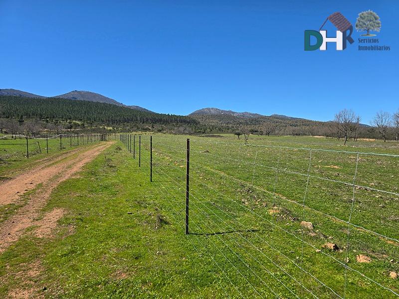 Venta de terreno en Cáceres