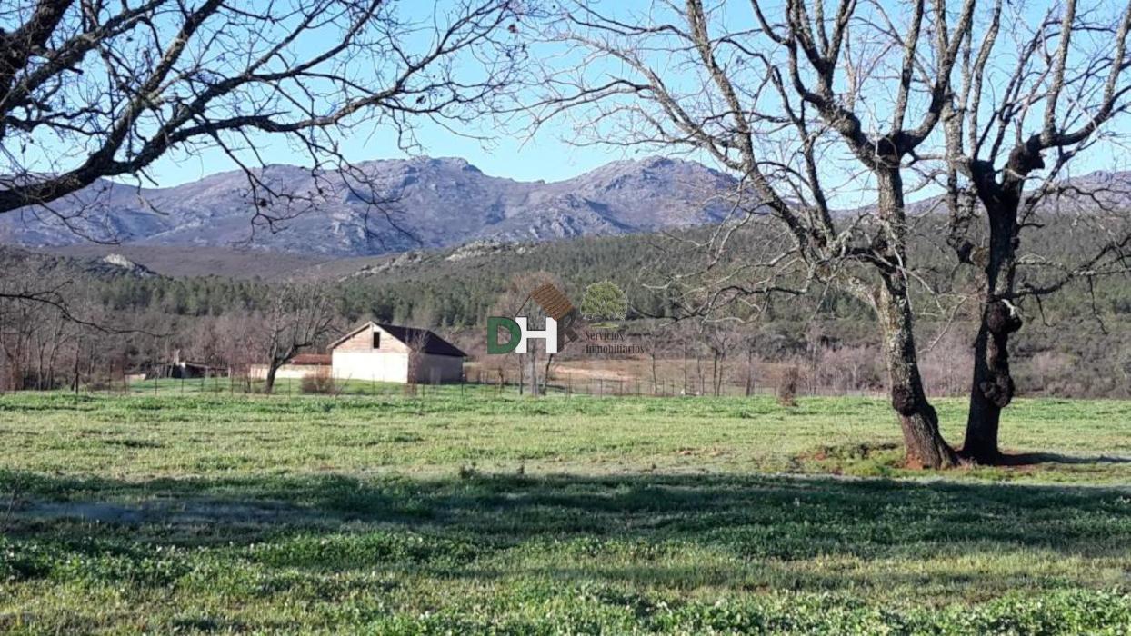 Venta de terreno en Cáceres