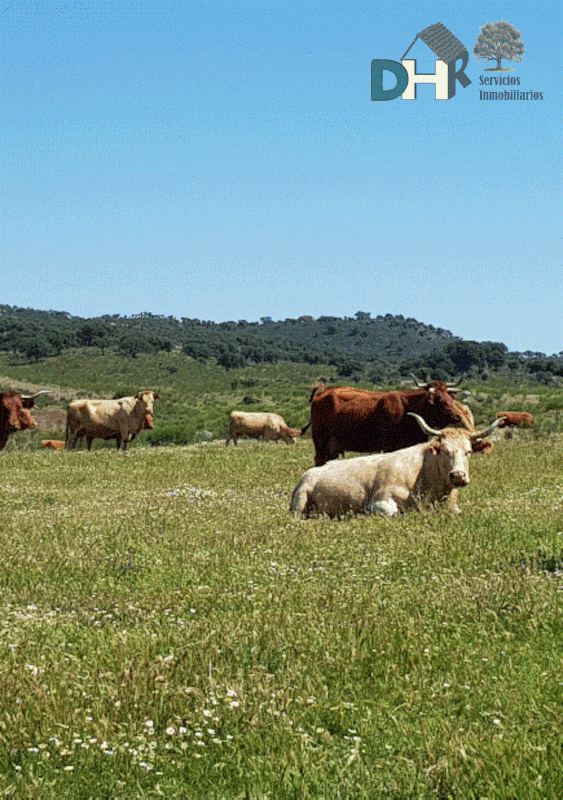 Venta de terreno en Badajoz