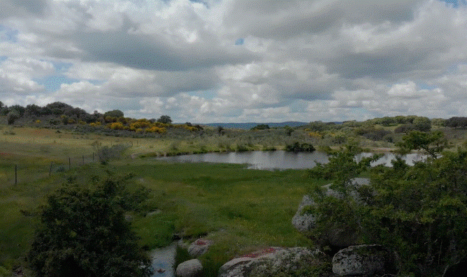 Venta de terreno en Badajoz