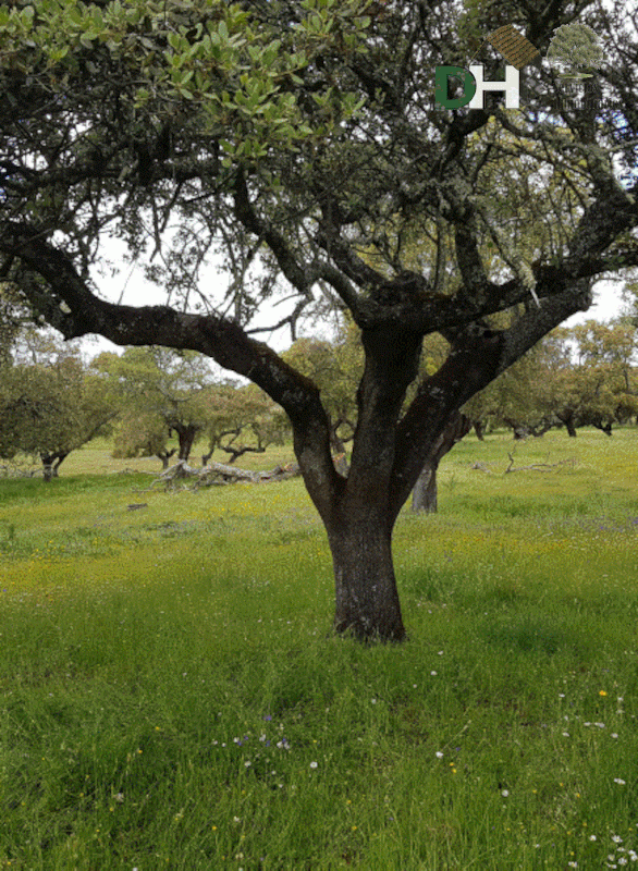 Venta de terreno en Badajoz