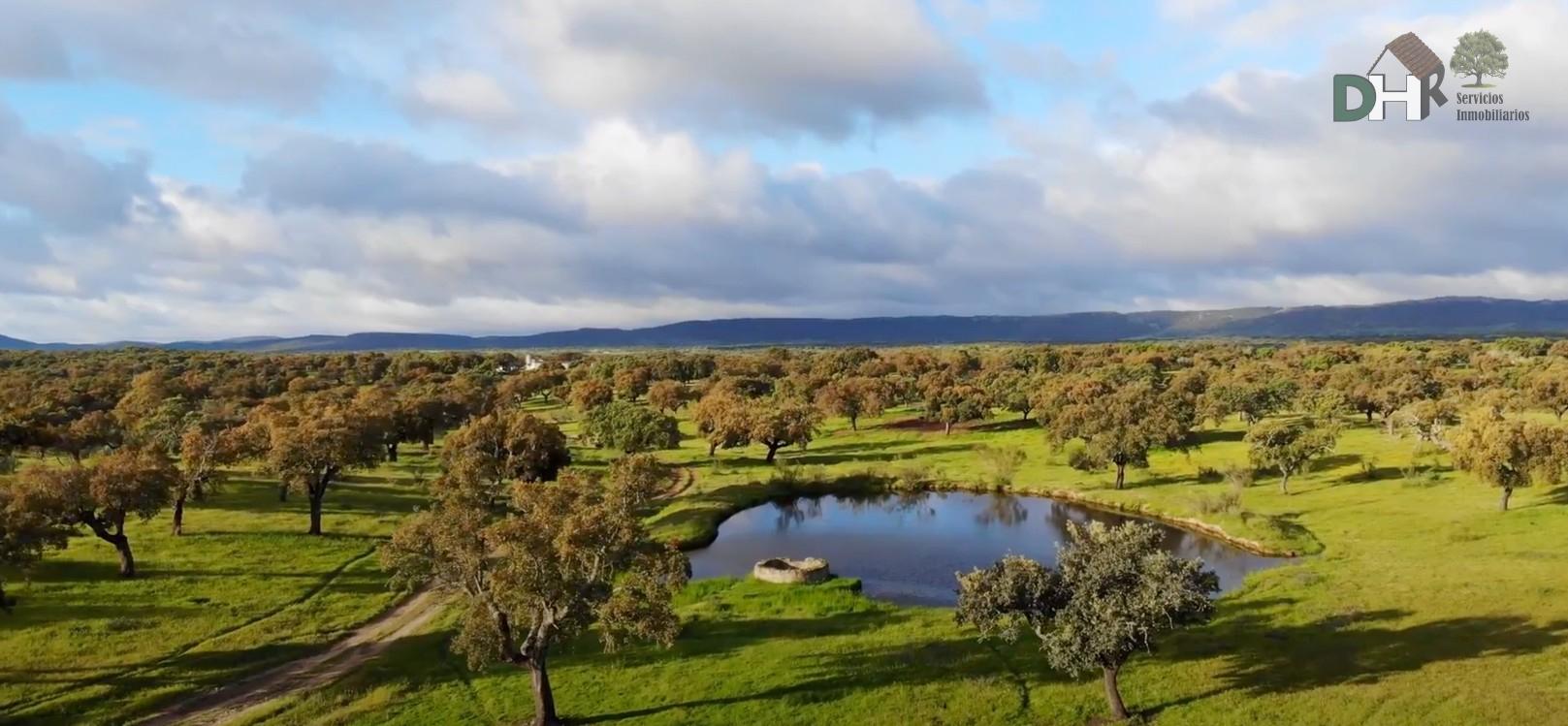 Venta de terreno en Badajoz