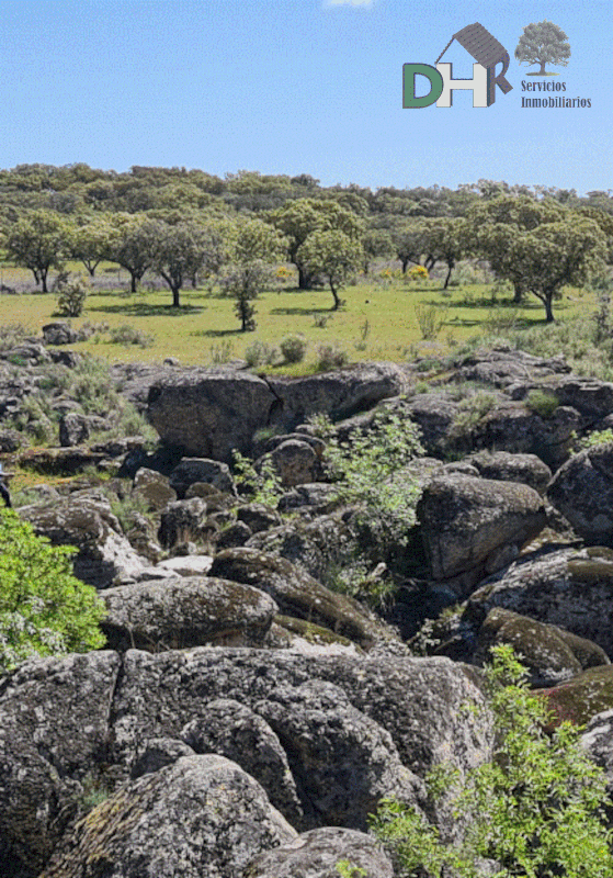 Venta de terreno en Badajoz