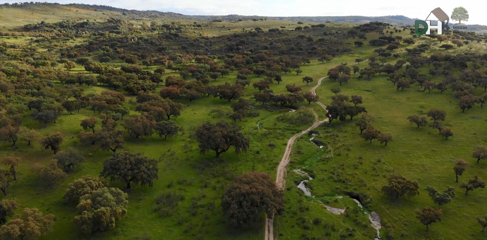 Venta de terreno en Badajoz