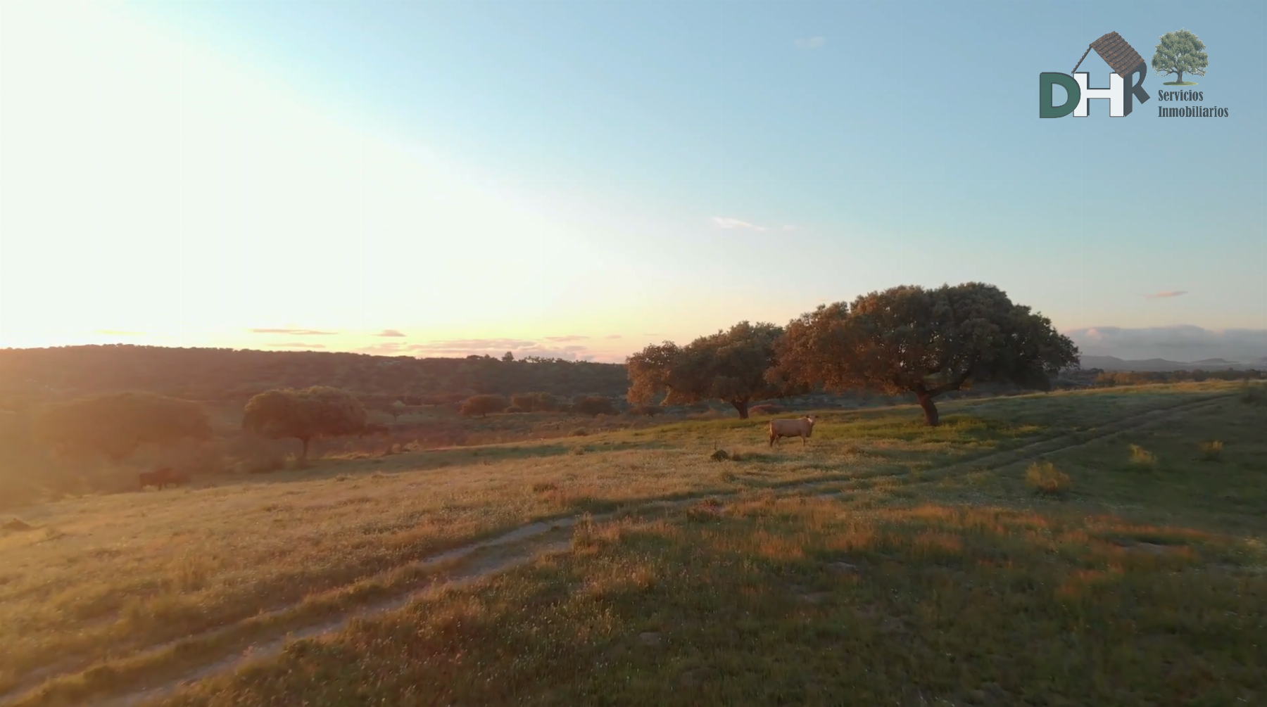Venta de terreno en Badajoz