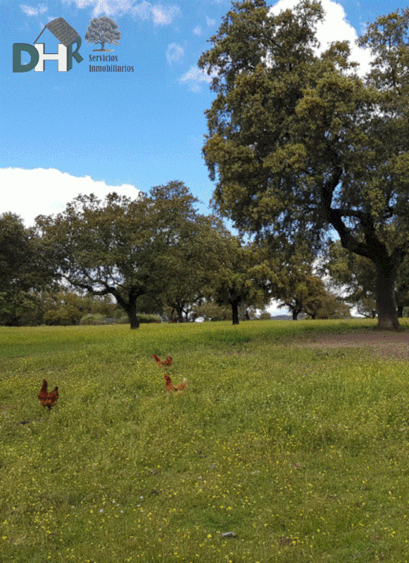 Venta de terreno en Badajoz