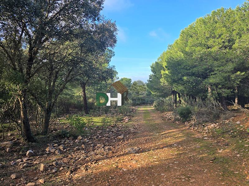 Venta de terreno en Ciudad Real