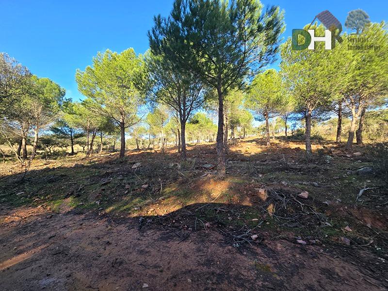 Venta de terreno en Ciudad Real