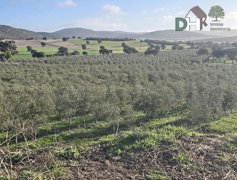 Venta de terreno en Ciudad Real