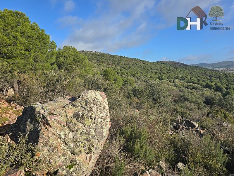Venta de terreno en Ciudad Real