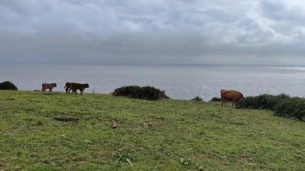 Venta de terreno en Cádiz