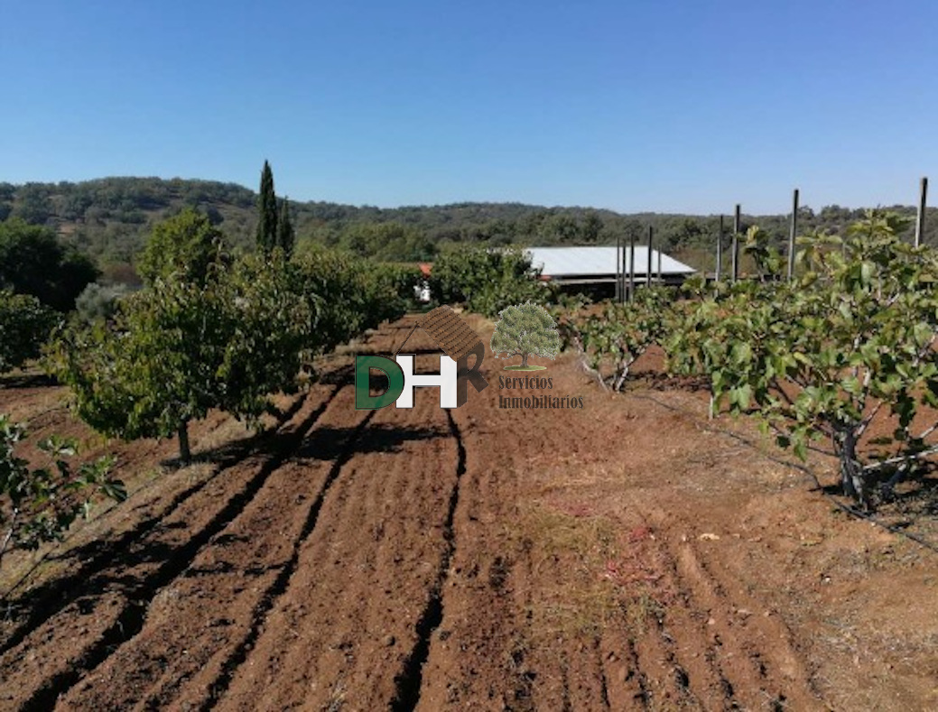 Venta de terreno en Cáceres