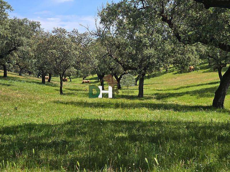 Venta de terreno en Badajoz