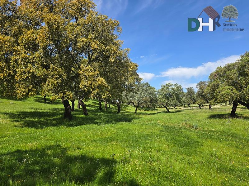 Venta de terreno en Badajoz