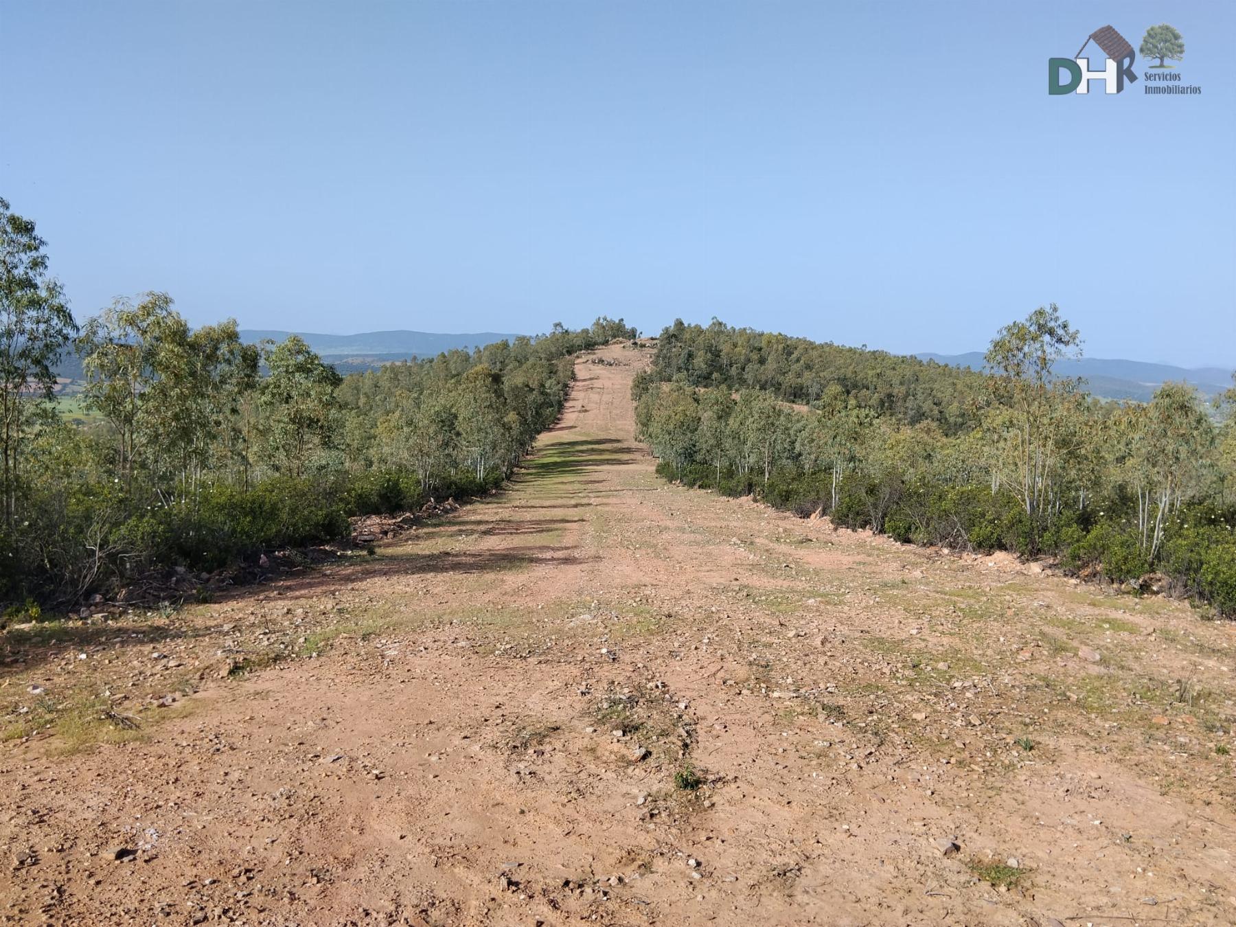 Venta de terreno en Badajoz