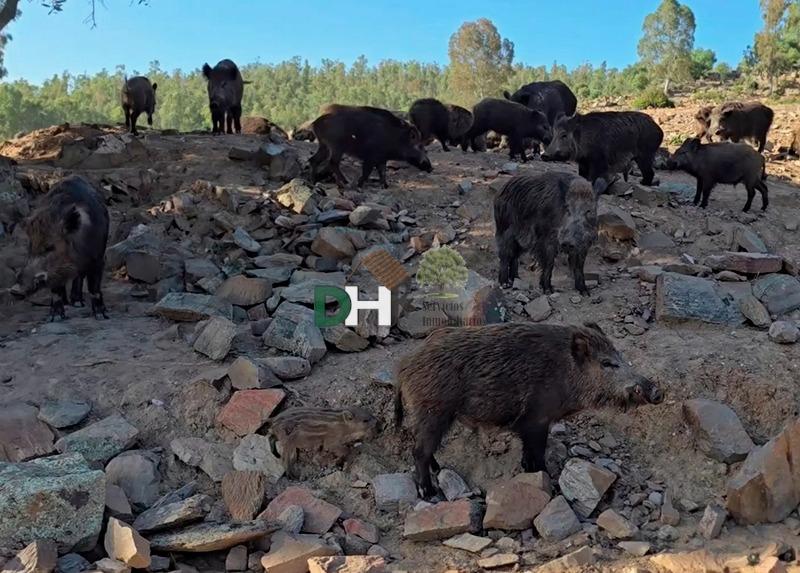 Venta de terreno en Badajoz