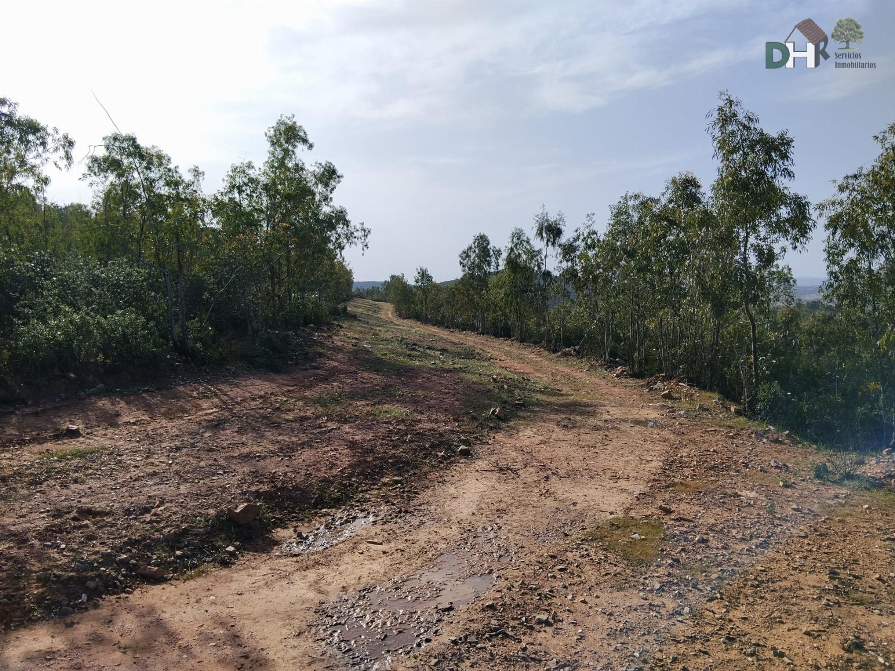 Venta de terreno en Badajoz