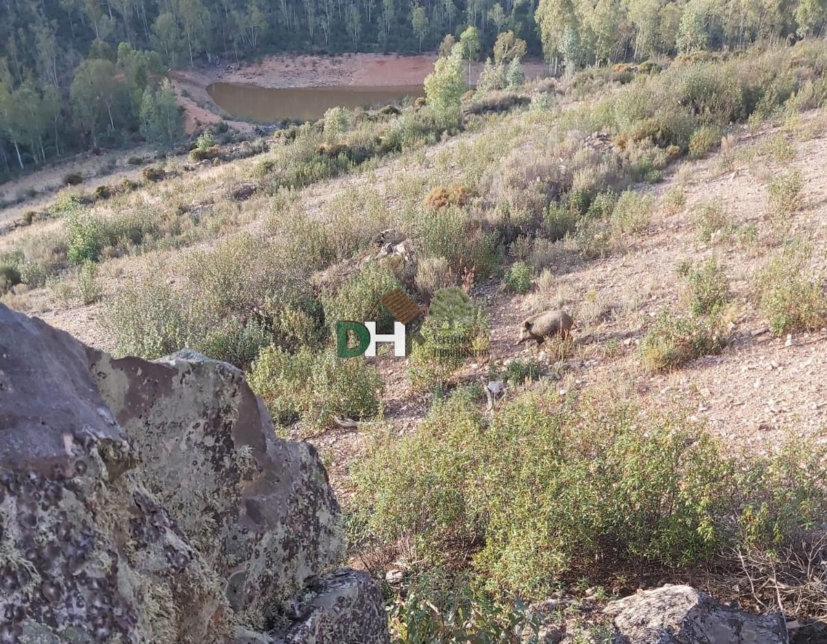 Venta de terreno en Badajoz