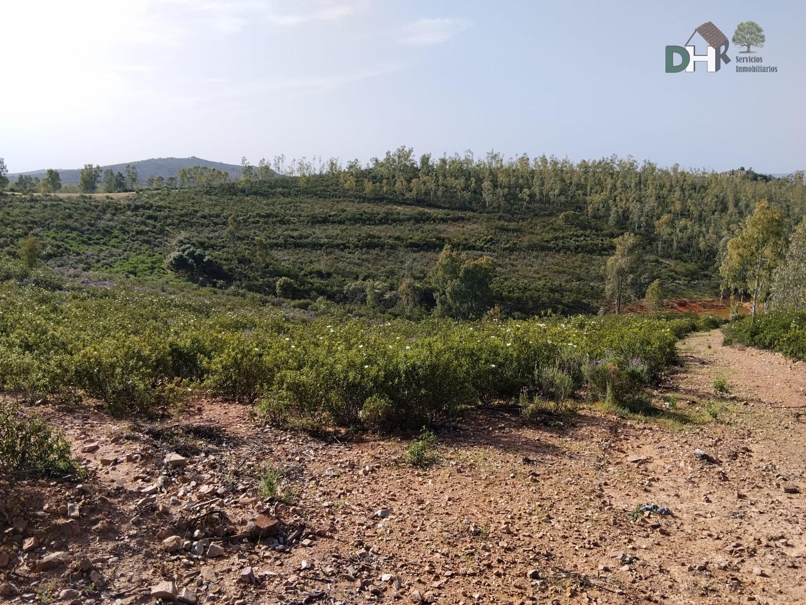 Venta de terreno en Badajoz