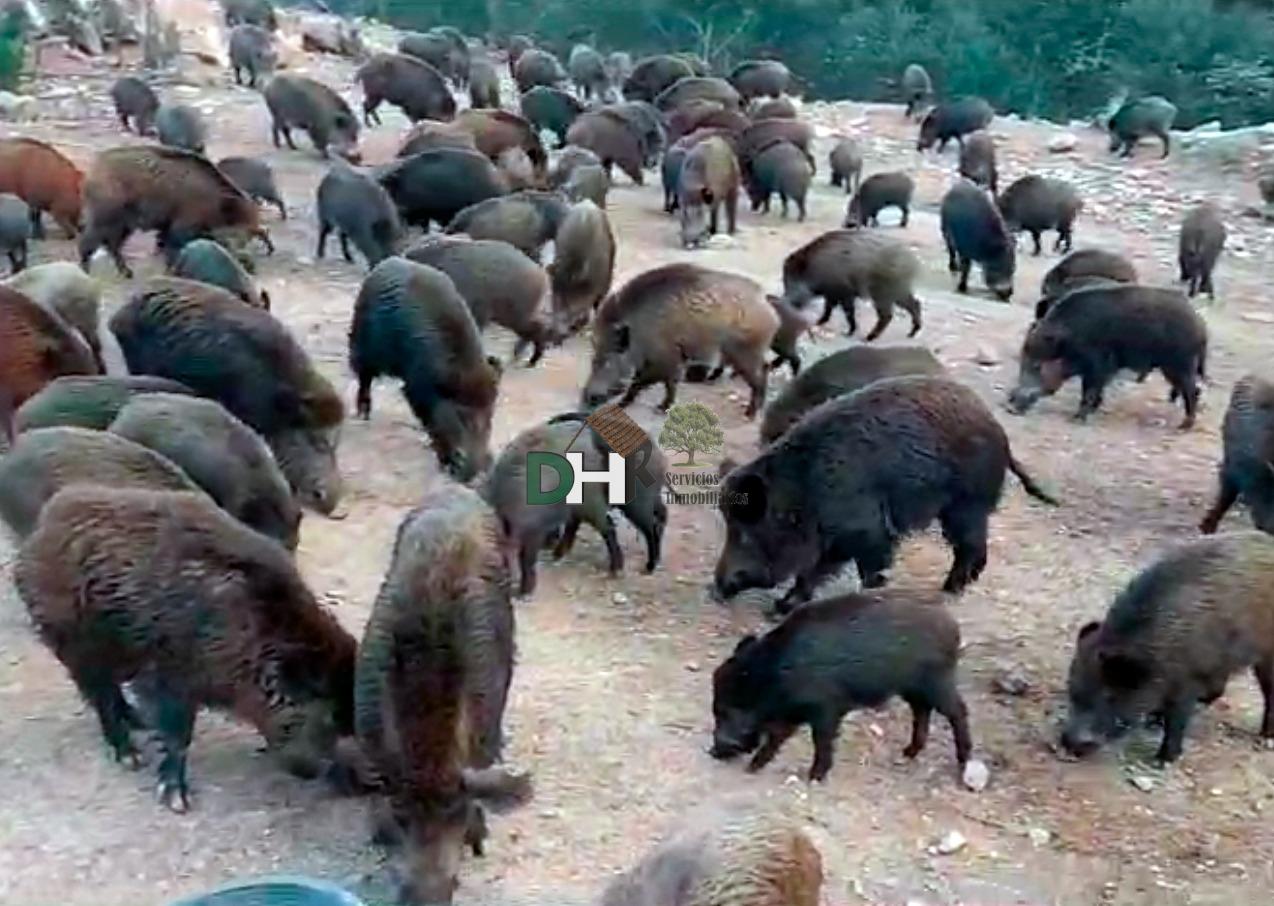 Venta de terreno en Badajoz