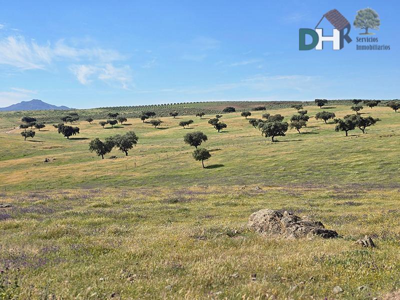 Venta de terreno en Badajoz