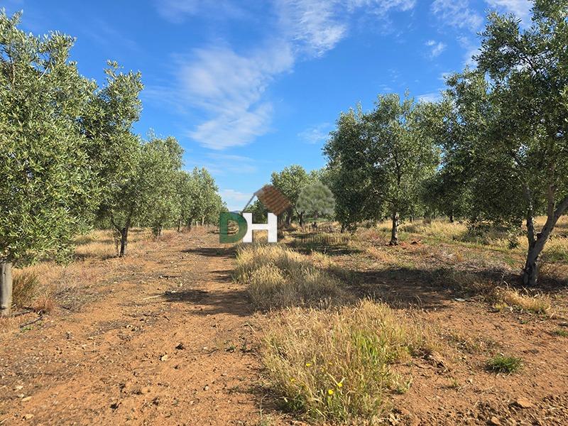 Venta de terreno en Badajoz
