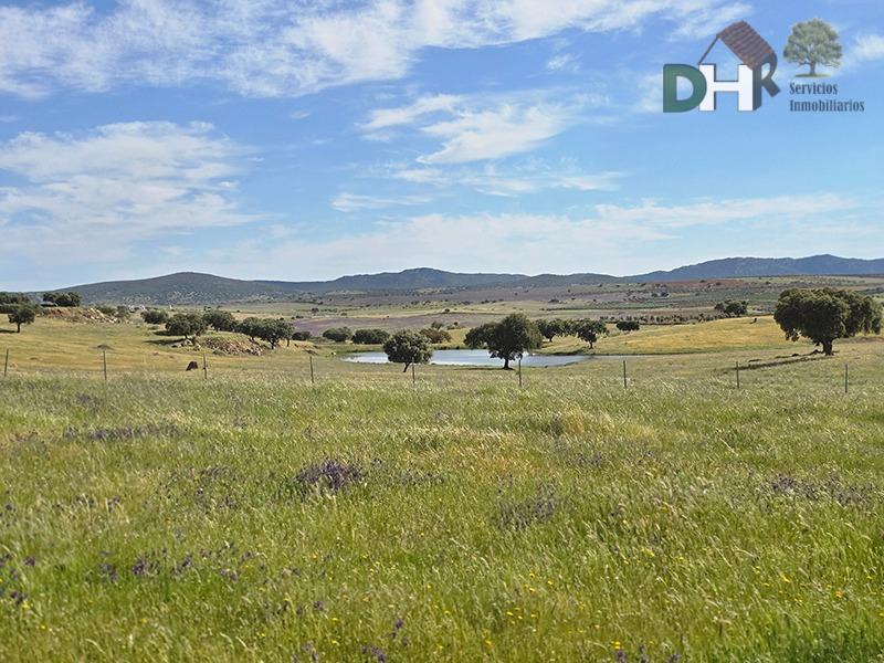 Venta de terreno en Badajoz