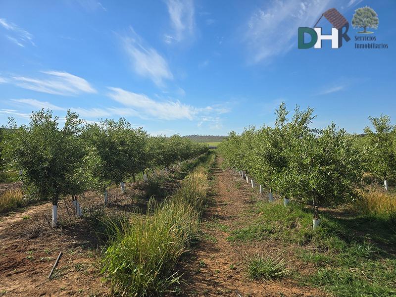 Venta de terreno en Badajoz