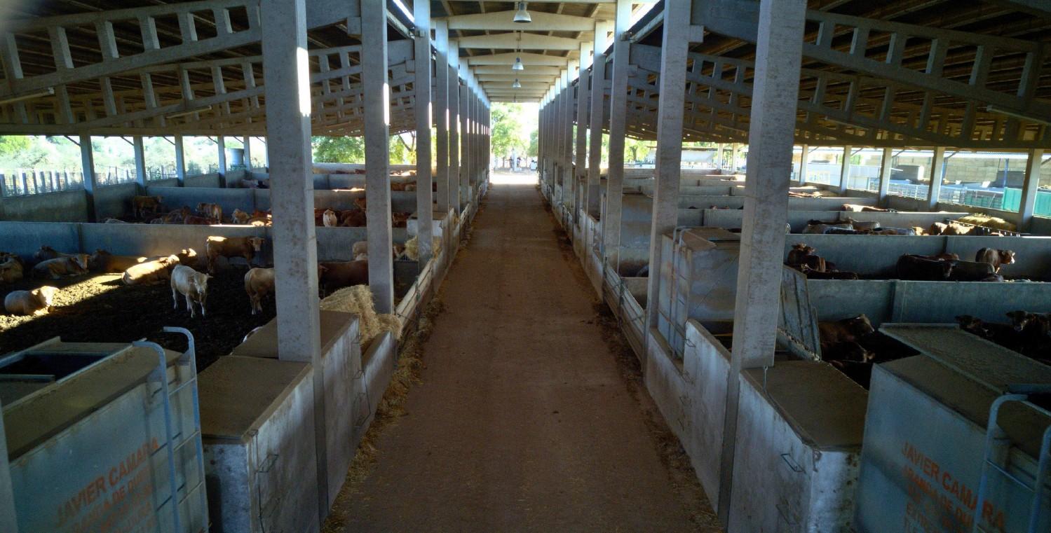 Venta de terreno en Sevilla