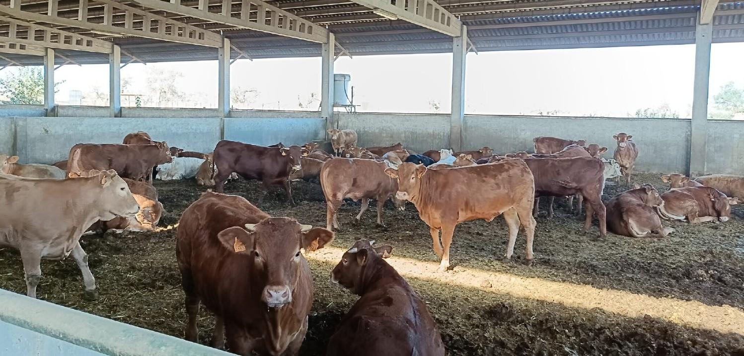 Venta de terreno en Sevilla