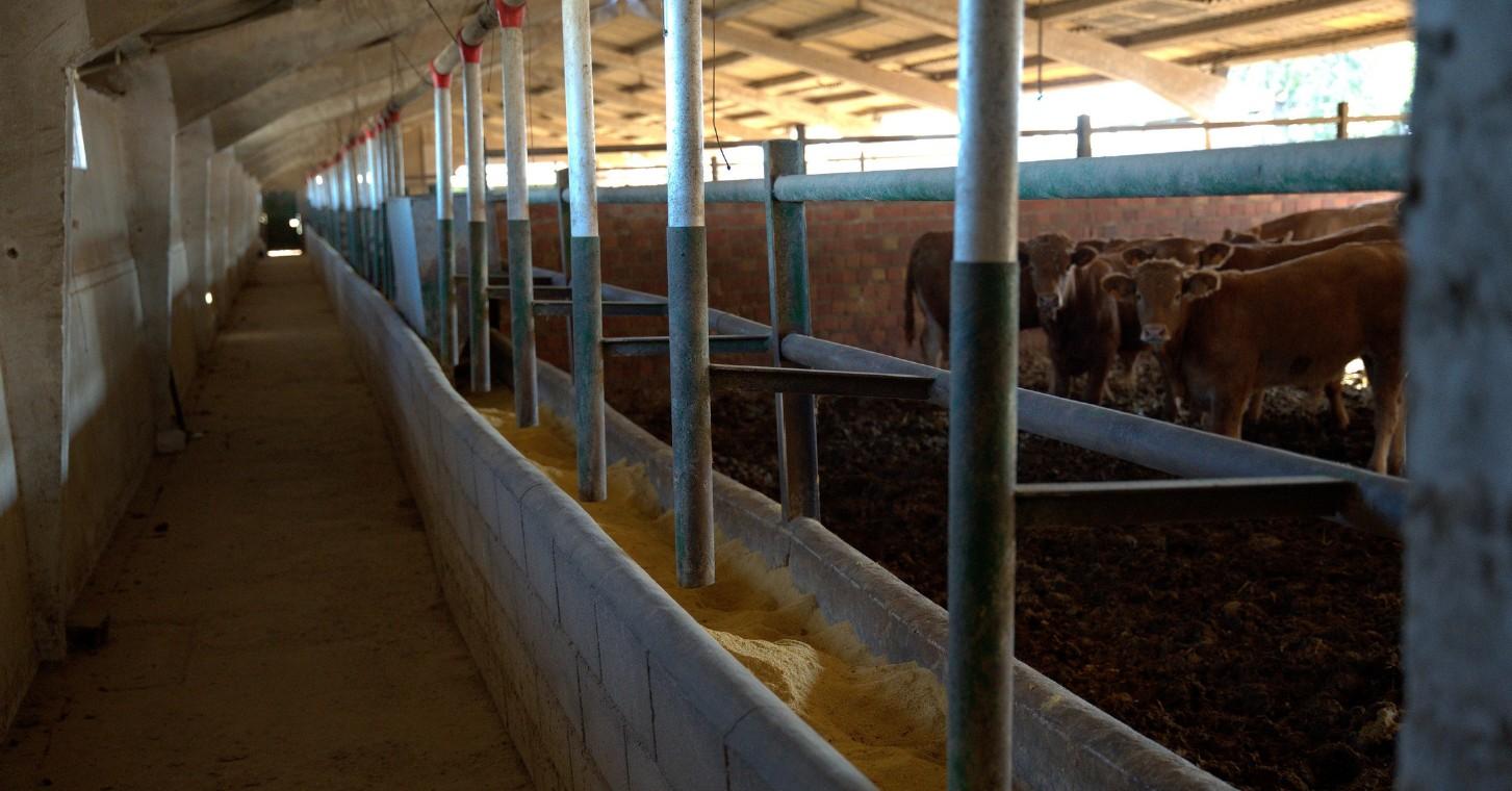 Venta de terreno en Sevilla