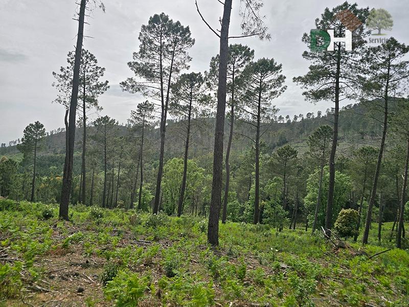 Venta de terreno en Cáceres